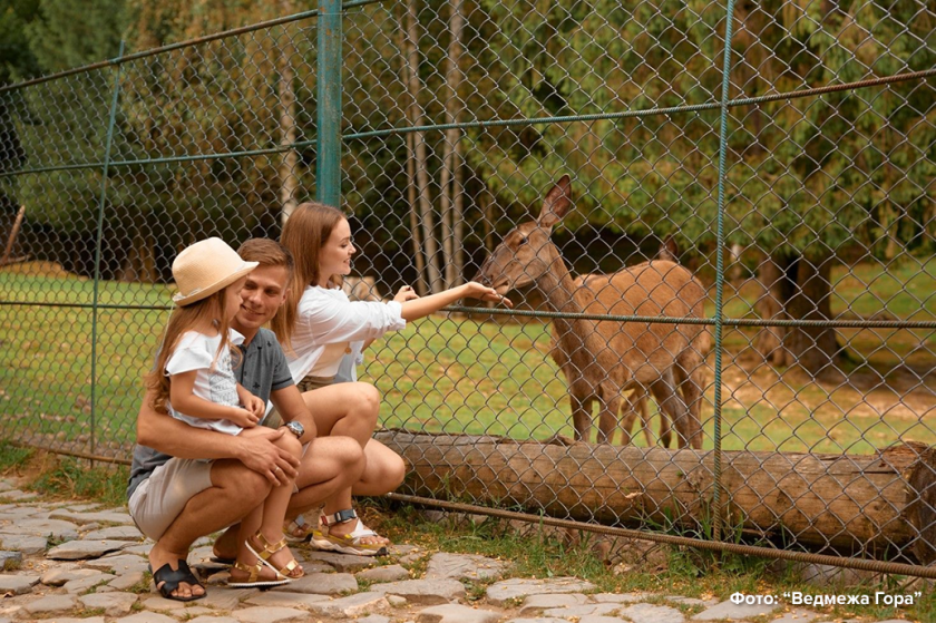 ��������� � �����