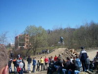       -2010